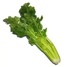 Sauce avgolemono pour Céleri branche